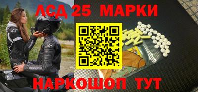сатива Новозыбков