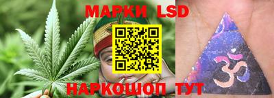 эйфоретик Новокубанск