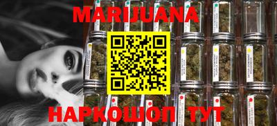 сатива Новозыбков