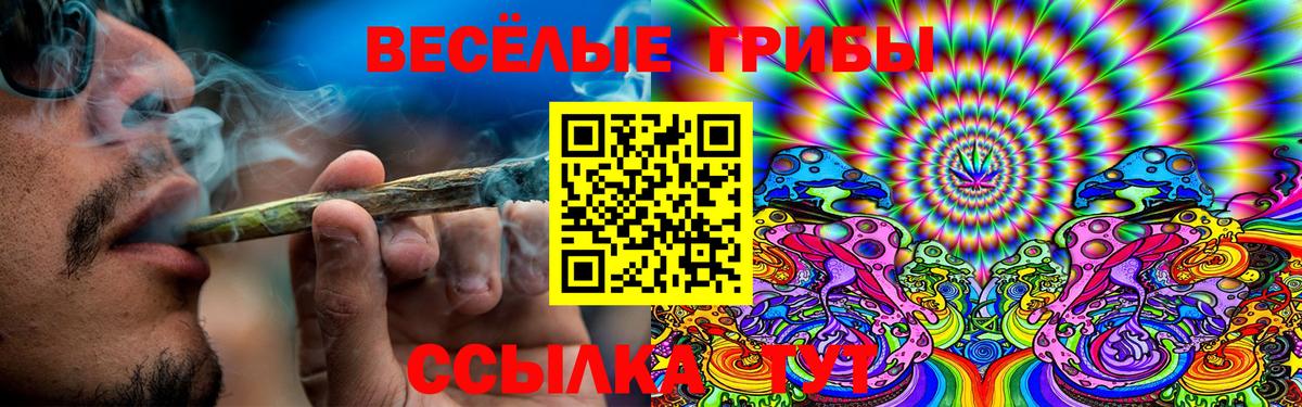 Сургут  Галлюциногенные грибы мицелий  Галлюциногенные грибы прущие грибы  Вход с VPN 