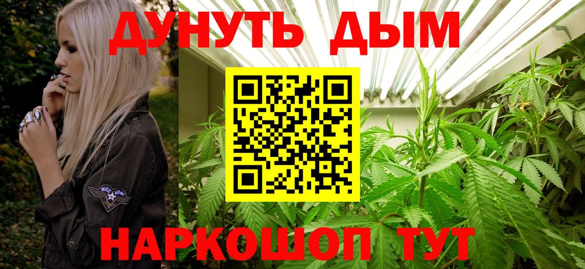 Бошки Шишки семена Сургут